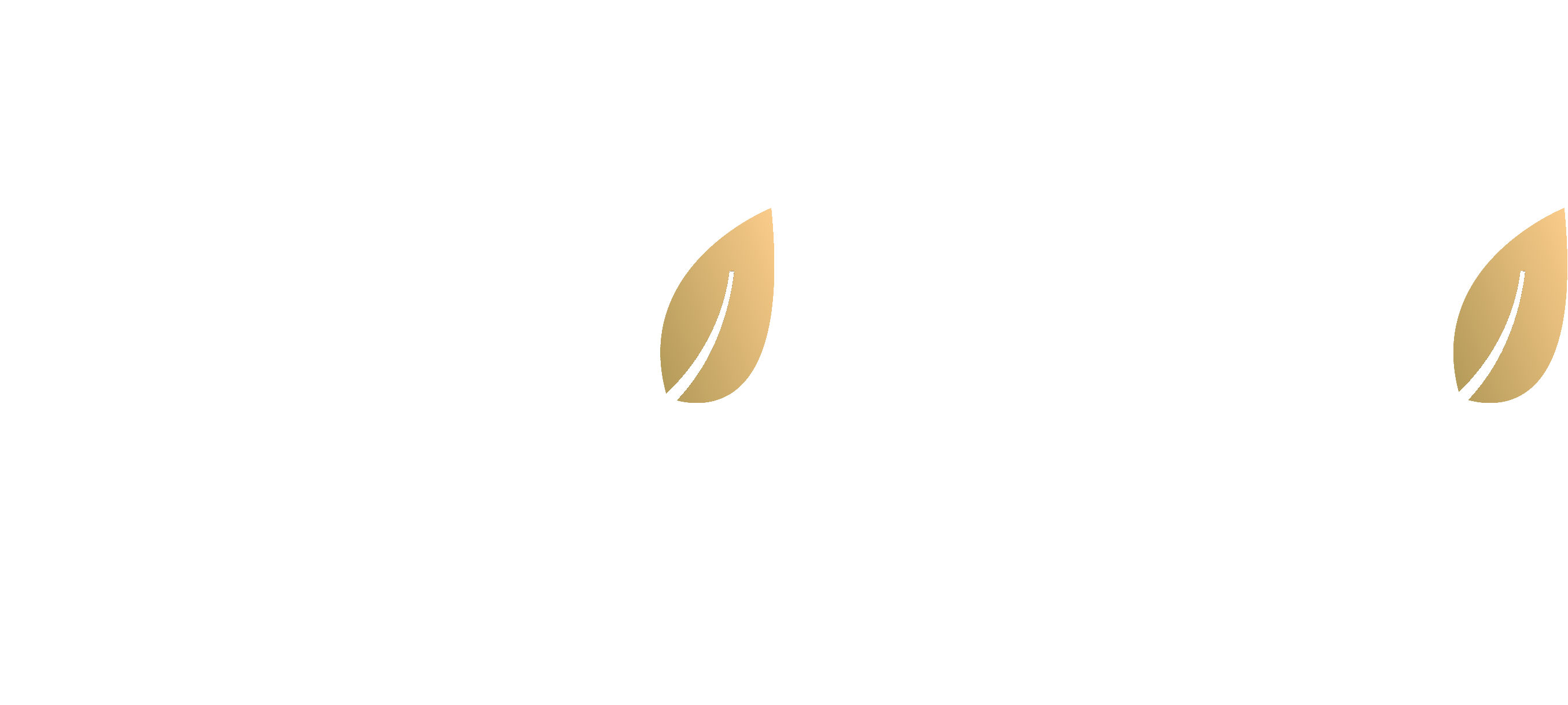Leve Refeições Coletivas